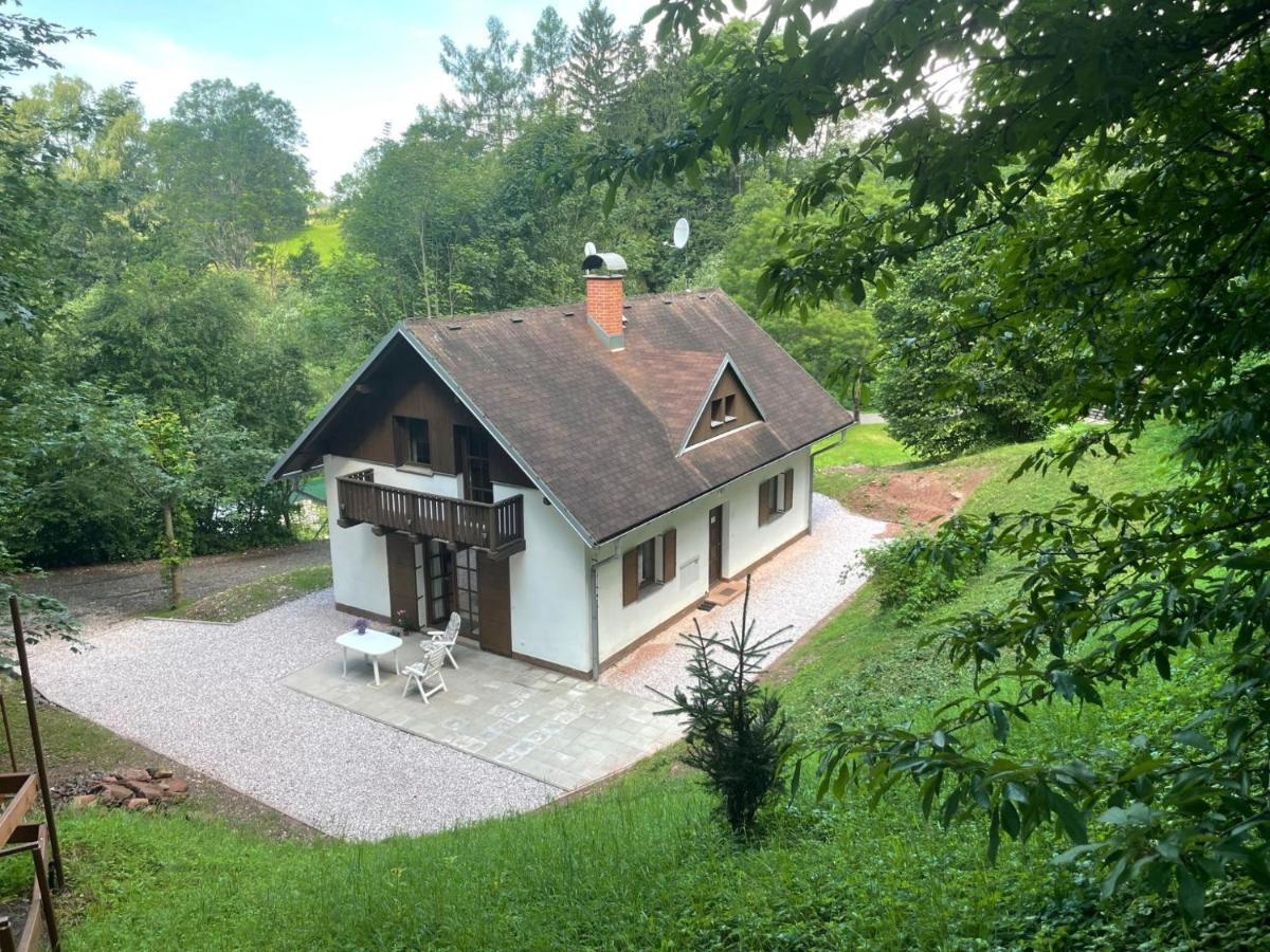Cozy Chalet Near Ski Area In Javornik Rudnik Luaran gambar